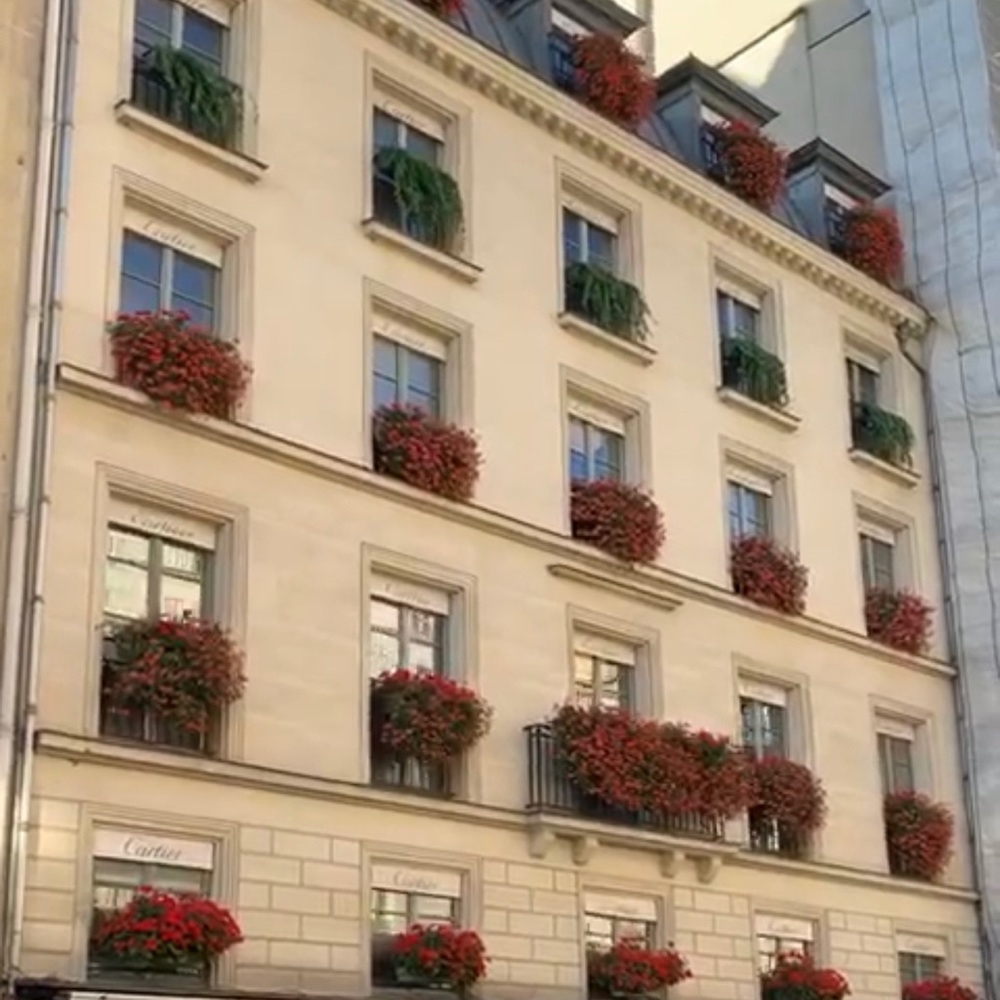 Meet your Posher, Neesha